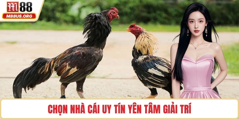 Chọn nhà cái uy tín yên tâm giải trí