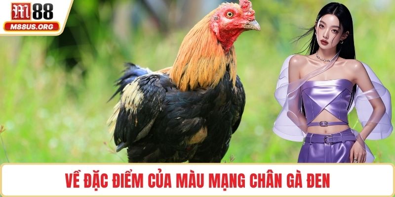 Về đặc điểm của màu mạng chân gà đen